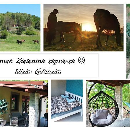Domek Zielenina Mierzeszyn Eksteriør billede