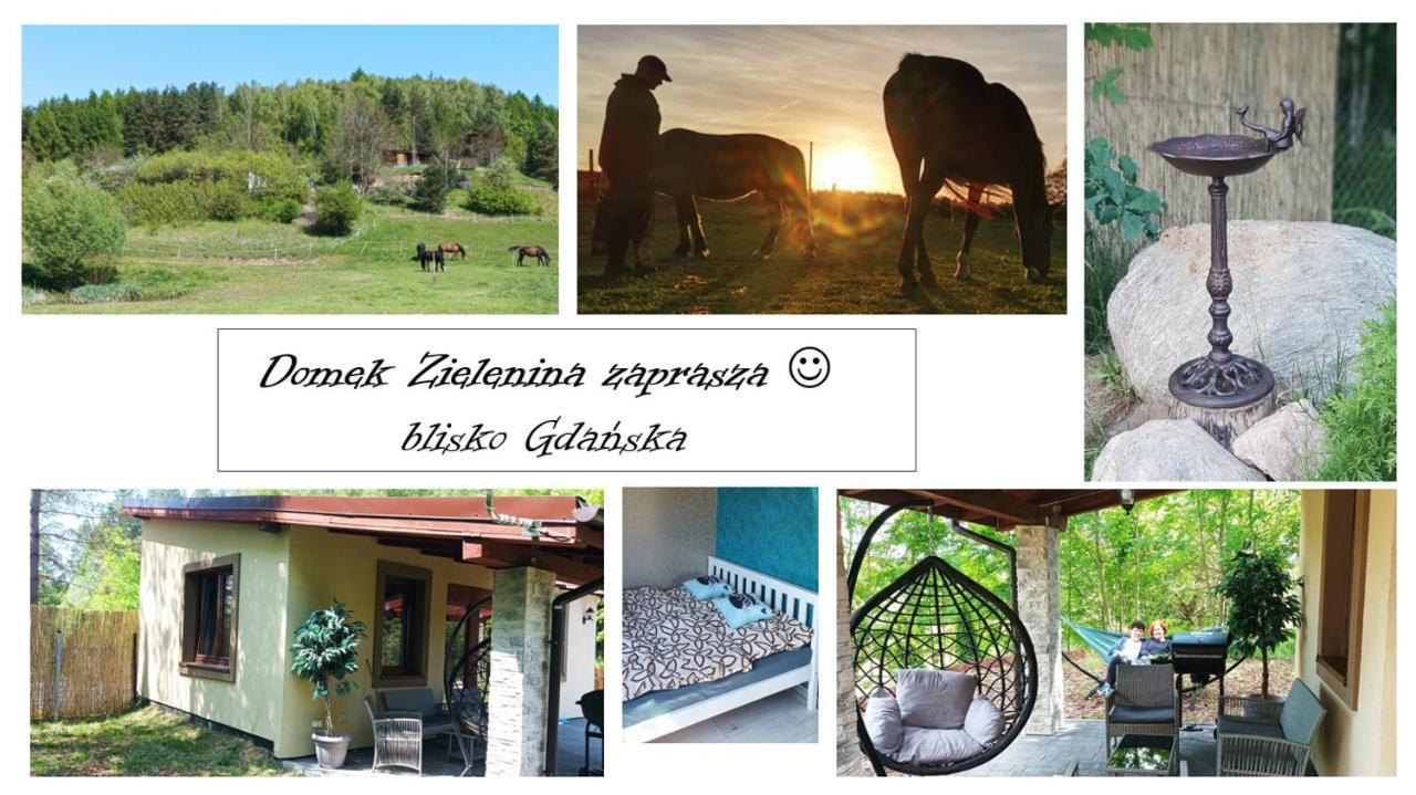 Domek Zielenina Mierzeszyn Eksteriør billede